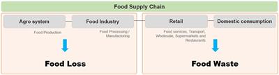 Hunger, Obesity, Public Policies, and Food-Based Dietary Guidelines: A Reflection Considering the Socio-Environmental World Context